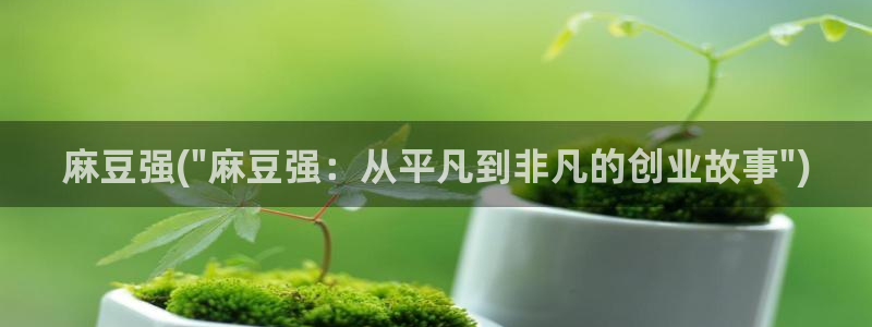 麻豆精品：麻豆强(\