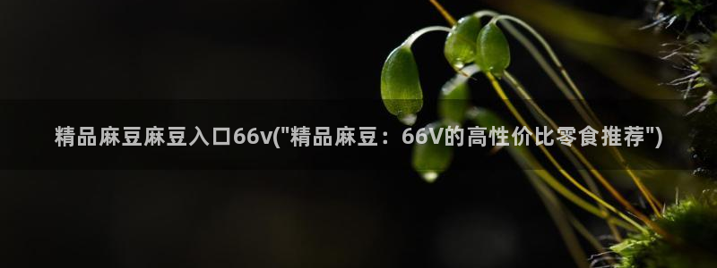 麻豆区：精品麻豆麻豆入口66v(\