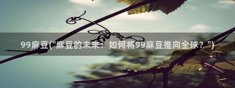 sepapa麻豆专区：99麻豆(\