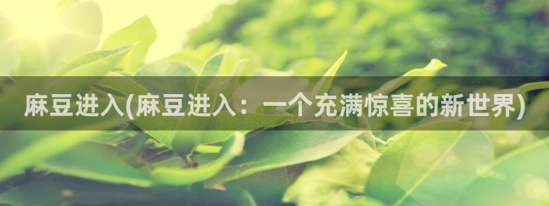 伊人久麻豆社区：麻豆进入(麻豆进入：一个充满惊喜的新世界)