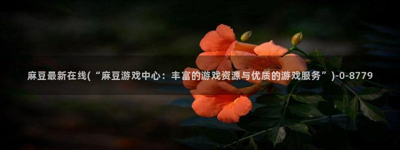 91麻豆国产专区在线观看：麻豆最新在线(“麻豆游戏中心：丰富的游戏资源与优质的游