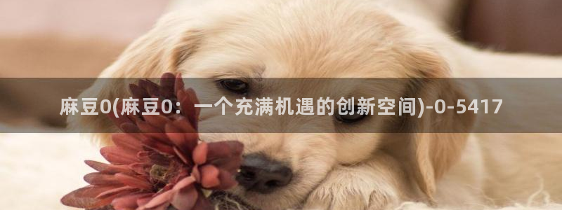 麻豆全集：麻豆0(麻豆0：一个充满机遇的创新空间)