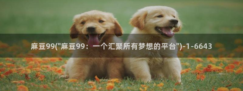 麻豆av专区：麻豆99(\