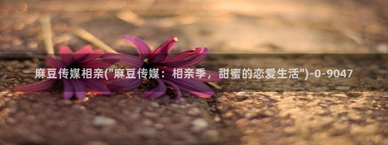 麻豆专区一区二区三区：麻豆传媒相亲(\