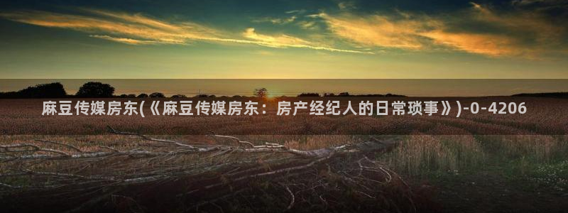 麻豆国产av专区：麻豆传媒房东(《麻豆传媒房东：房产经纪人的日常琐事》)