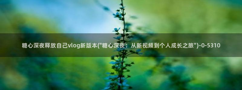 糖心vlog app