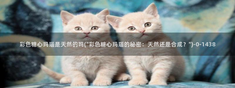 糖心vlog破解版app