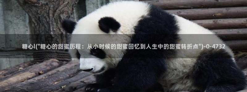 糖果心vlog在线观看
