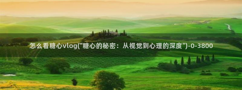 糖心vlog二代cc