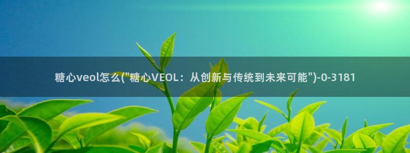 vlog糖心官网