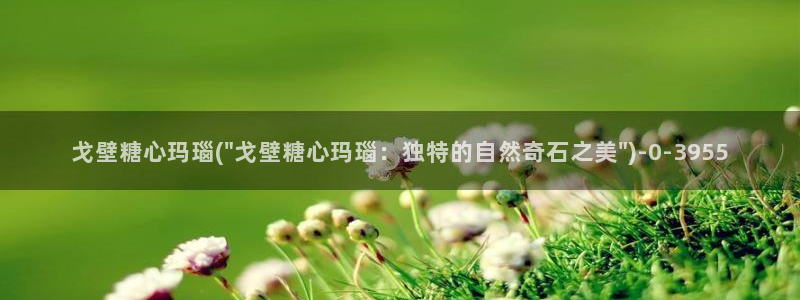 糖心vlog最新入口