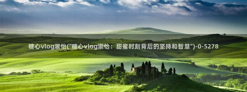 糖心vlogpro