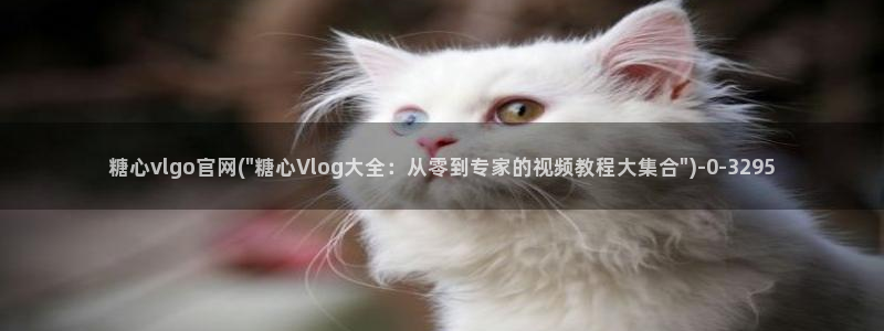 糖心vlog视频观看