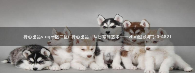 糖心vlog极品