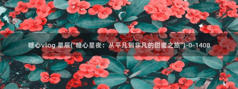 糖心vlog最新版本下载