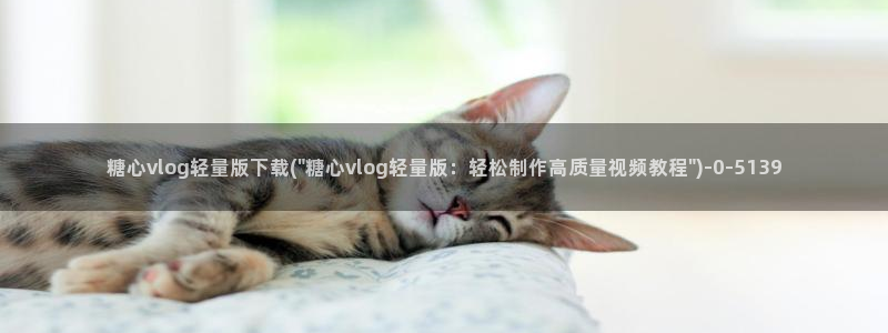 糖心vlog苹果