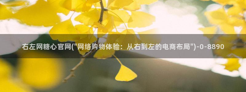 糖心vlog记录
