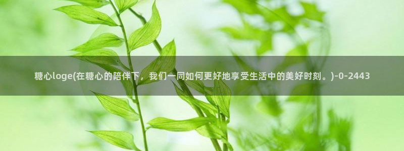 t糖心vlog
