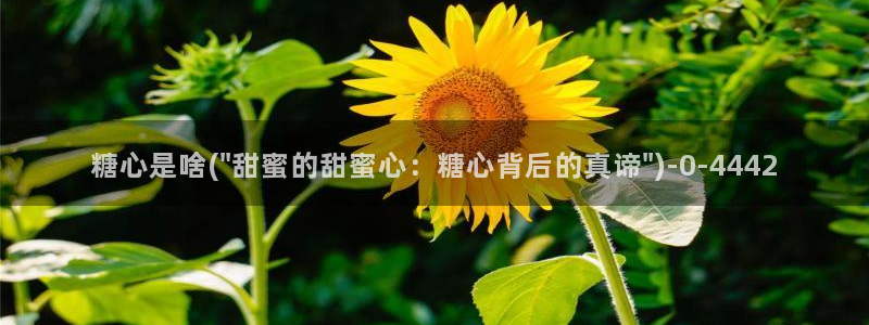 糖心vlog破解版免登录