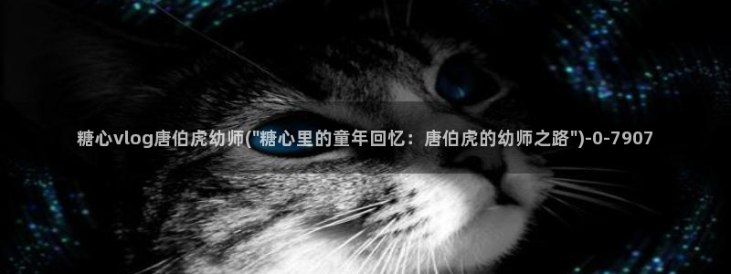 糖心vlog是