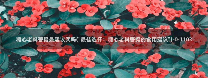 糖心vlog怎么看